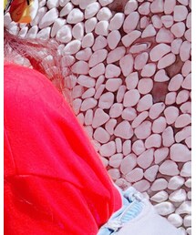 STUSSY | Tシャツ/カットソー