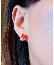 不明 | ピアス（両耳用）