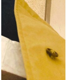 THE NORTH FACE PURPLE LABEL | ジャケット/アウター