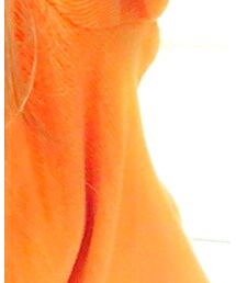 WEGO | Tシャツ/カットソー