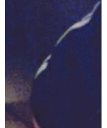 adidas | ジャケット/アウター