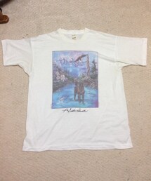 SCREEN STARS | アラスカ BIGTシャツ（USED）(Tシャツ/カットソー)