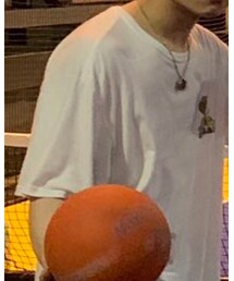 STUSSY | サイズXL 商品プレビュー探したけどありませんでした。確かウェスハンプストンデザインのコブラプリント(Tシャツ/カットソー)