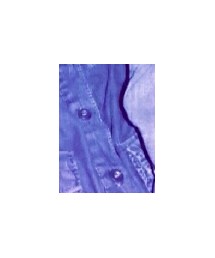 ZARA | シャツ/ブラウス