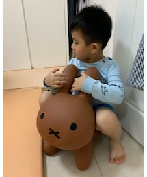 Miffy | おもちゃ
