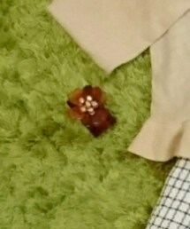 JILL STUART | バングル/リストバンド