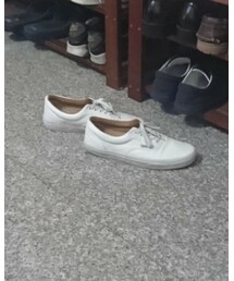 VANS | new era(シューズ)