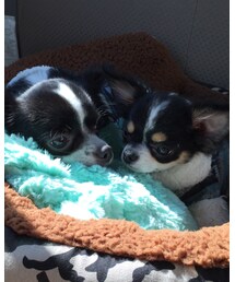 Leo ❤️ | その他