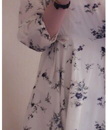 evelyn | ワンピース