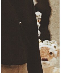 ZARA | スウェット