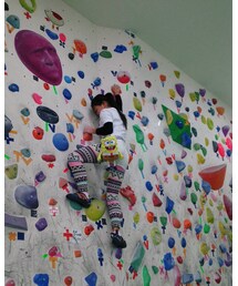 adidas | Tシャツ/カットソー