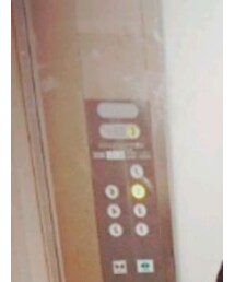 RETRO GIRL | Tシャツ/カットソー