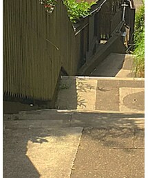 靴下屋 | ソックス/靴下