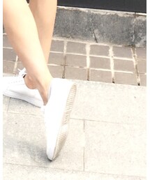 FRYE | スニーカー