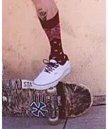 VANS | スニーカー