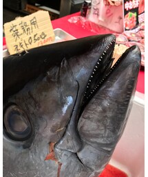 朝飯は築地で🐟 | 有楽町から徒歩で築地(その他)
