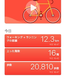 土曜日の歩数 | その他