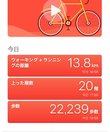 日曜日の歩数 | その他