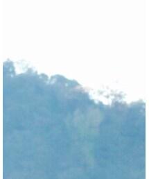 稲村ヶ崎 | その他