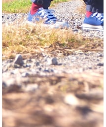 手前の石の右側 | その他