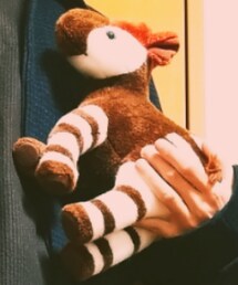 動物園ズーラシア | ペットウェア