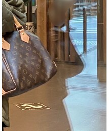 LOUIS VUITTON | バッグ