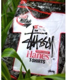 HANES×STUSSY | Tシャツ/カットソー