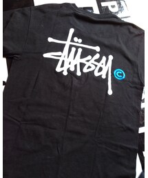 STUSSY | Tシャツ/カットソー