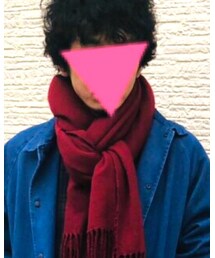WEGO | マフラー