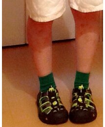 靴下屋 | ソックス/靴下