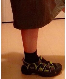 靴下屋 | ソックス/靴下