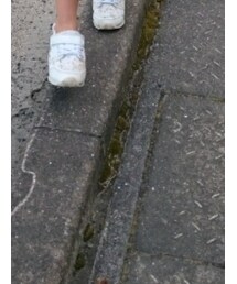 BRANSHES | スニーカー