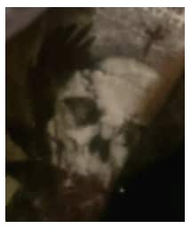 H&M | Tシャツ/カットソー