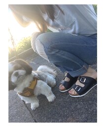 INGNI | Tシャツ/カットソー