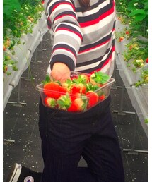 片平観光農園🍓 | その他