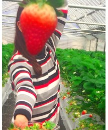 Mackintosh | ニット/セーター