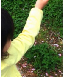 UNIQLO | カーディガン/ボレロ