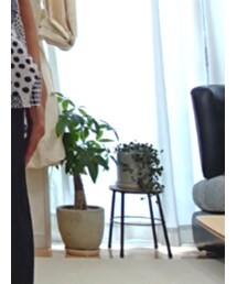 HARVESTY | デニムパンツ