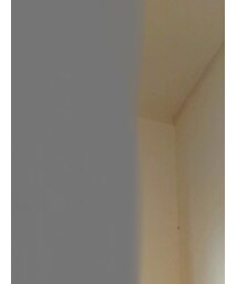 Lilou＆Lily | Tシャツ/カットソー