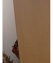 HARVESTY | デニムパンツ