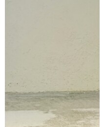 STEVE MADDEN | スリッポン