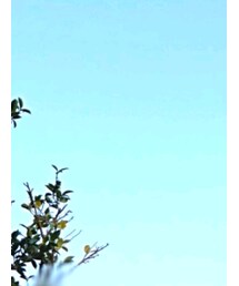 tumugu | Tシャツ/カットソー