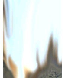 BIRKENSTOCK | シューズ