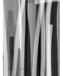 DANA FANEUIL | ベスト