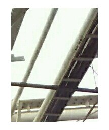 気持ち良い秋晴れ | その他