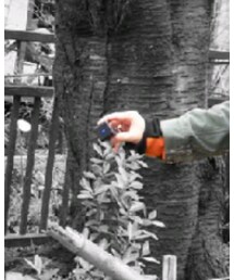 SONY | カメラ/カメラグッズ