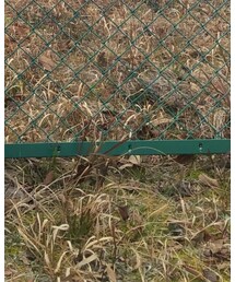 Reebok | スニーカー