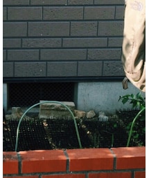 FOREVER 21 | その他パンツ