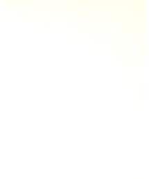 Honeys | デニムジャケット