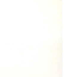 CHARLES & KEITH | バッグ